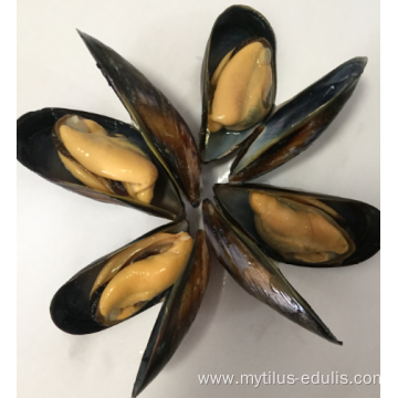 wholesale mussel meat with half shellsupplier